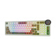 Royal Kludge RK N99 Tri Mode RGB Hot Swap (Beige Switch) Palm Green Mechanical Gaming Keyboard