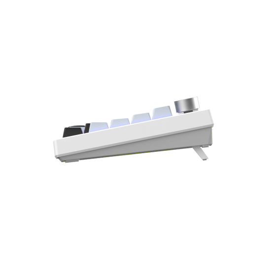 T-wolf K81 75% Gasket-Mounted Tri-Mode Mechanical Keyboard T-wolf K81 75% Gasket-Mounted Tri-Mode Mechanical Keyboard