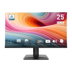 MSI PRO MP251 E2 24.5" 120Hz IPS FHD Monitor